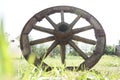 Wooden wheel on a background of green grass