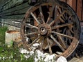 Wooden wheel from a cart. Decorative wheels for decorating lawns, exteriors and rustic interiors. Round homemade wheel