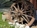 Wooden wheel from a cart. Decorative wheels for decorating lawns, exteriors and rustic interiors. Round homemade wheel