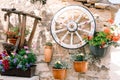 Wooden wheel from a cart in a garden interior. Country style photo zone with petunia and geranium flowers in flower pots Royalty Free Stock Photo