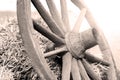 Wooden wheel from the cart