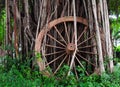 Wooden wheel