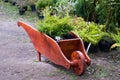 Wooden wheelbarrow