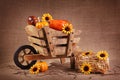 Wooden wheelbarrow decoration