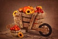 Wooden wheelbarrow decoration