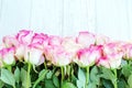 Wooden white background with pink roses. A place for congratulat