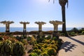 A wooden white pergola surrounded by lush green palm trees and plants with red flowers and lush green grass near blue ocean water Royalty Free Stock Photo