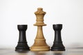 Wooden white queen and black rooks chess pieces