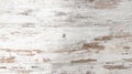 Wooden white texture background ancient old vintage wood cutting plank board old panels Royalty Free Stock Photo