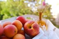 on wooden white tray plate with orange apricots, peach, bunch wild flowers on table in garden, beautiful summer still life, fruits Royalty Free Stock Photo