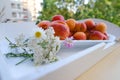 on wooden white tray plate with orange apricots, peach, bunch wild flowers on table in garden, beautiful summer still life, fruits Royalty Free Stock Photo