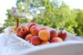 on wooden white tray plate with orange apricots, peach, bunch wild flowers on table in garden, beautiful summer still life, fruits Royalty Free Stock Photo