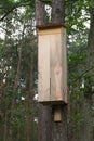 Wooden wild bees hotel, insect shelter in forest Royalty Free Stock Photo