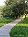 A wooden winding Path in a quiet green Park with an arch of trees