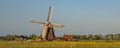 Wooden windmill with miller house