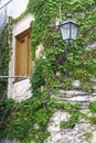 Wooden window with ivy Royalty Free Stock Photo