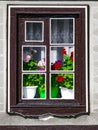 A wooden window outside the house with flowering geranium flowers in an old traditional European house. Royalty Free Stock Photo