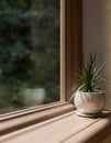 A wooden window sill or window board with a potted plant in a minimalist living room