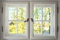 Wooden window with sunny garden view - looking through old double windows Royalty Free Stock Photo