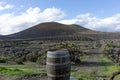 Wooden wine barrel at the entrance to the vineyard. Lanzarote. Canary Islands