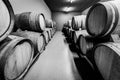 Wooden wine barrels stacked in modern winery cellar in Spain Royalty Free Stock Photo