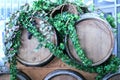 Wooden wine barrels for vineyards decorated with ivy leaves and bunches of grapes Royalty Free Stock Photo