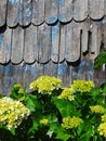 Wooden worn out tiles Royalty Free Stock Photo