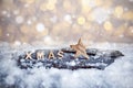 Wooden XMAS letters with wooden star in the snow
