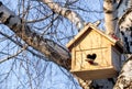 Wooden yellow birdhouse on a birch tree in the farm park zone. Shelter for bird breeding, nesting box on a tree in early spring Royalty Free Stock Photo