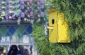 Wooden yellow birdhouse on a tree. House for birds handmade
