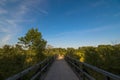 Woodenbridge over a pond in the Lobau Royalty Free Stock Photo