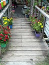 Woodenbridge walkway Royalty Free Stock Photo