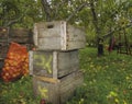 Woodern crate apple Royalty Free Stock Photo