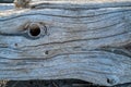 Woodgrain detail of a piece of driftwood with hole