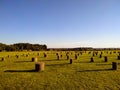 Woodhenge Amesbury Wiltshire England