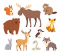 Woodland animals. Cute forest bear, fox and hare, wolf and deer, badger and squirrel, elk and woodpecker, beaver and