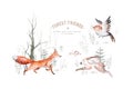 Woodland animals set. Owl, hedgehog, fox and butterfly, Bunny rabbit set of forest squirrel and chipmunk, bear and bird