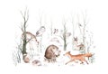 Woodland animals set. Owl, hedgehog, fox and butterfly, Bunny rabbit set of forest squirrel and chipmunk, bear and bird