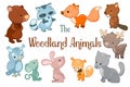 Woodland animals vector clipart on white background. Cute vector illustrations of bear, beaver, fox, rabbit, deer