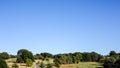 Woodland Area and Grasslands Landscape