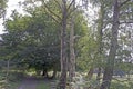 A landscape view of the Kent countryside