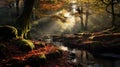 Capturing Woodland Autumn Splendor With Canon Eos-1d X Mark Iii
