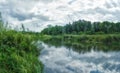 Woodland bog. Clouds sky. Mirror effect