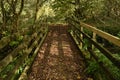 Woodland bridge with dappled sunlight Royalty Free Stock Photo
