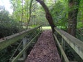 Woodland bridge with tree Royalty Free Stock Photo