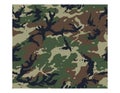 Woodland Camouflage Pattern