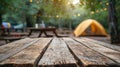 Woodland Campsite at Dawn