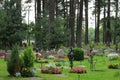Woodland cemetery