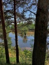 Taiga landscape in the park area, spring time.