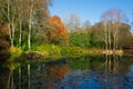 Woodland colours reflecting over the lake Royalty Free Stock Photo